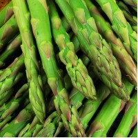 Smidras (Asparagus) Gijnlim