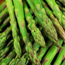 Smidras (Asparagus) Gijnlim