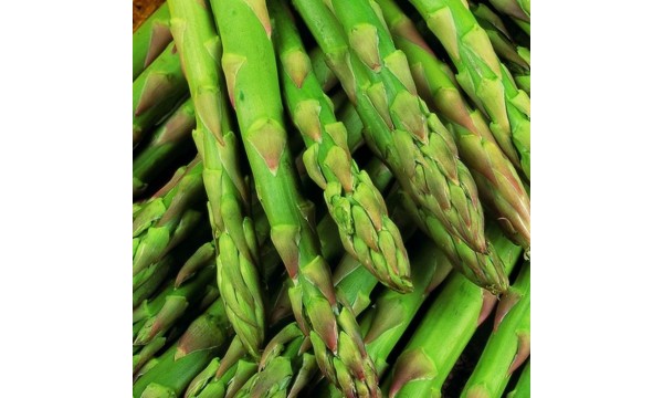 Smidras (Asparagus) Gijnlim